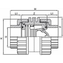 Clapet de retenue taraudé - Joints FPM. 1001