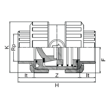 Clapet de retenue taraudé - Joints FPM 1091