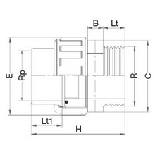 Manchon union 3 pièces - Taraudé sur Rp - Fileté sur R 5083