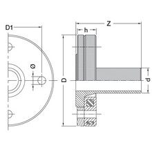 Collet-bride anti-fluage ISO GN16- Kit de boulonnerie inox 9024