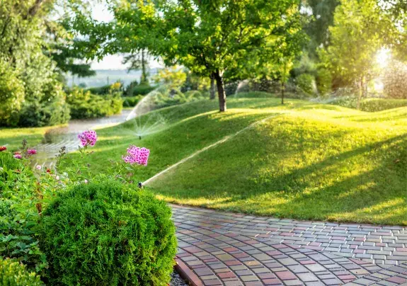 Arrosage irrigation